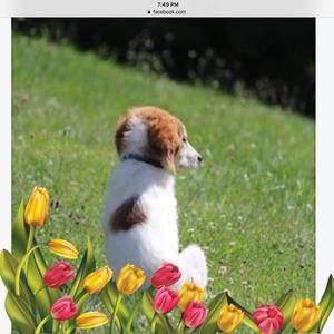 Meet your Posher, Patricia